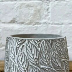 Darthome Limited Square Cement Embossed Leaf Pot -Decor Garden Shop 113 cf9b0678 056b 4894 b300 a5d367eb49f3
