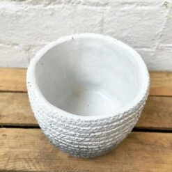 Darthome Limited Cement Two Tone Grey Planter -Decor Garden Shop 11 f0d343cb c9bd 4822 8962 977bf9cc5006