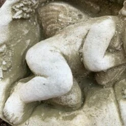 Darthome Limited Stone Cherub In Shell Garden Sculpture -Decor Garden Shop 135 01910cbe dd79 442d b242 9f332f9dac72 1