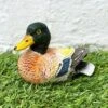 Darthome Limited Miniature Colourful Content Duck Figurine