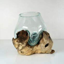 Darthome Limited Molten Glass Bowl With Teak Root Wood Stand 7 Darthome Limited Molten Glass Bowl With Teak Root Wood Stand -Decor Garden Shop 1 acce81c7 b2a2 401a b403 cd0ce4c3d823