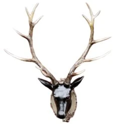 Darthome Limited Extra Large Glossy Black Stags Wall Head -Decor Garden Shop 1copy 597118cc 47b7 4baa b7b4 a54b3075203a