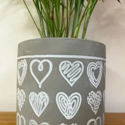 Darthome Limited Cement Scribble Love Heart Plant Pot Holder -Decor Garden Shop 20 a0d4c798 742d 4e06 862d a26e38a0e97c