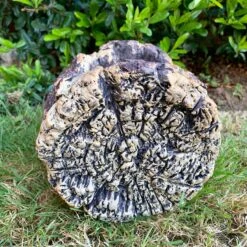 Darthome Limited Cement Tree Log Owl Planter -Decor Garden Shop 22 558a5067 e7f8 4076 8643 bd6c197d9f79