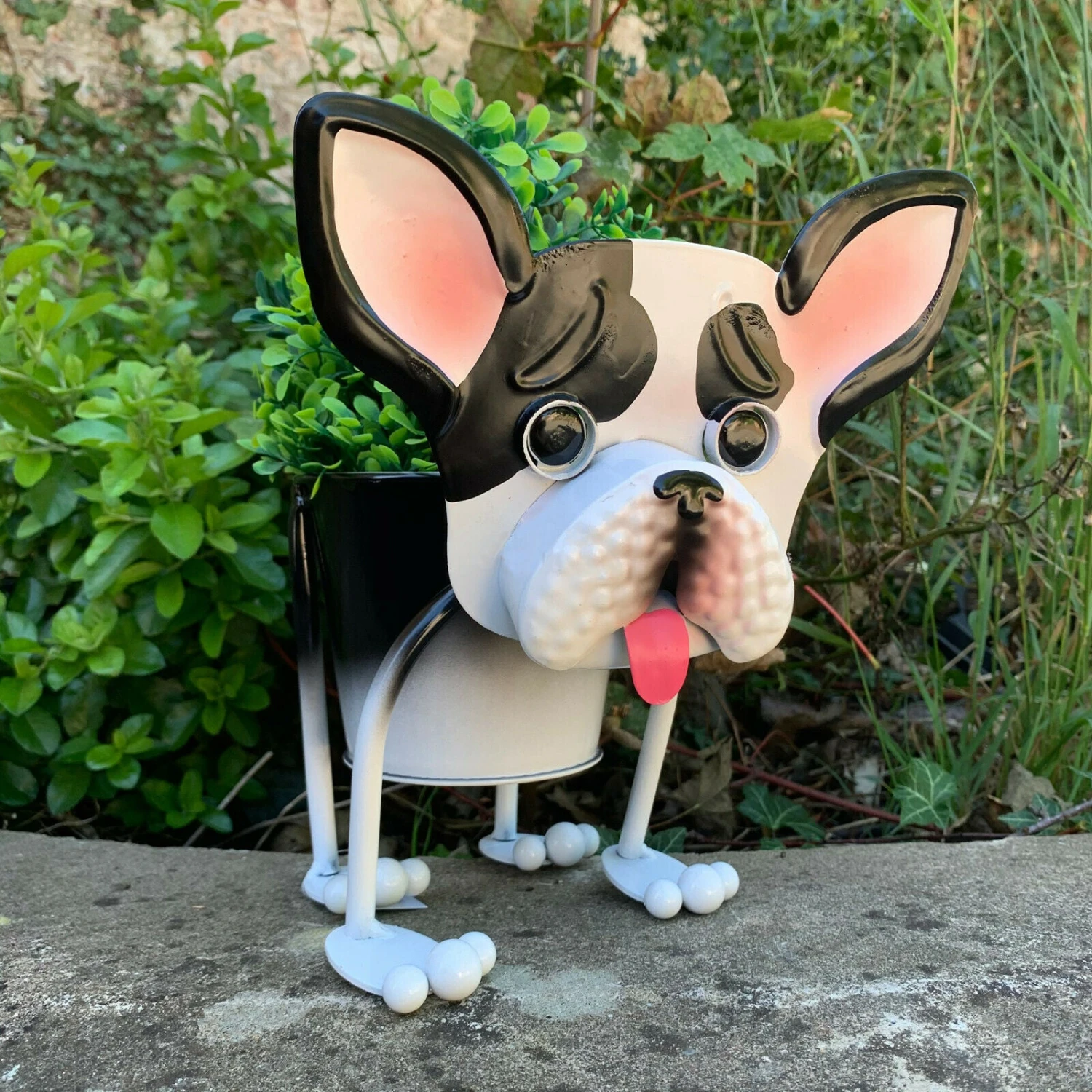 Darthome Limited Metal Wobbly Staffy Dog Planter 5 Darthome Limited Metal Wobbly Staffy Dog Planter - Image 5