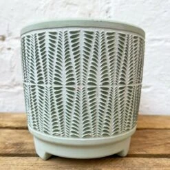 Darthome Limited Green Diamond Plant Pot Holder -Decor Garden Shop 24 46ce1b8a 0373 4063 bb31 c73043fac8e7