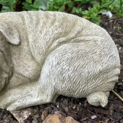 Darthome Limited Stone Lying Pug Sculpture 8 Darthome Limited Stone Lying Pug Sculpture -Decor Garden Shop 26 d584a9c2 e468 432a 9e17 cca4da4f1bb9 1