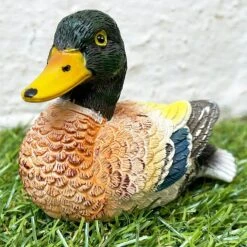 Darthome Limited Miniature Colourful Content Duck Figurine -Decor Garden Shop 33 212f77fe 993b 4856 8073 8a179c47a77f 1