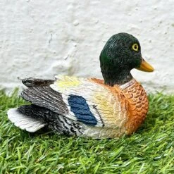 Darthome Limited Miniature Colourful Content Duck Figurine -Decor Garden Shop 34 0d5d26ea 936d 497d a78b fb4b00ddd866 2