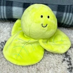 Darthome Limited Soft Green Brussel Sprout Squeaky Dog Toy