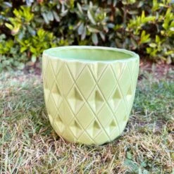 Darthome Limited Ceramic Green Geometric Planter 13cm