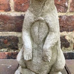 Darthome Limited Stone Meerkat Garden Sculpture 5kg -Decor Garden Shop 3 37f40d95 d73f 4eb4 88d1 18f4ab66e2cb 1