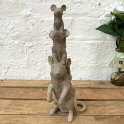 Decor Garden Shop -Decor Garden Shop 40 2d5ad9d5 b092 4c9d 8734 525253aac207