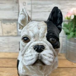 Darthome Limited Standing French Bulldog Ornament -Decor Garden Shop 42 2995799c 49ca 4e3a 96b7 dc3ccf7e7bd9 2