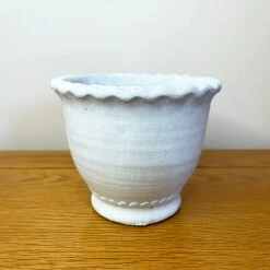 Darthome Limited White Cement Indoor Plant Pot 5 Darthome Limited White Cement Indoor Plant Pot -Decor Garden Shop 49 8e0edbf2 87d1 4245 9508 57e1d641ddcc