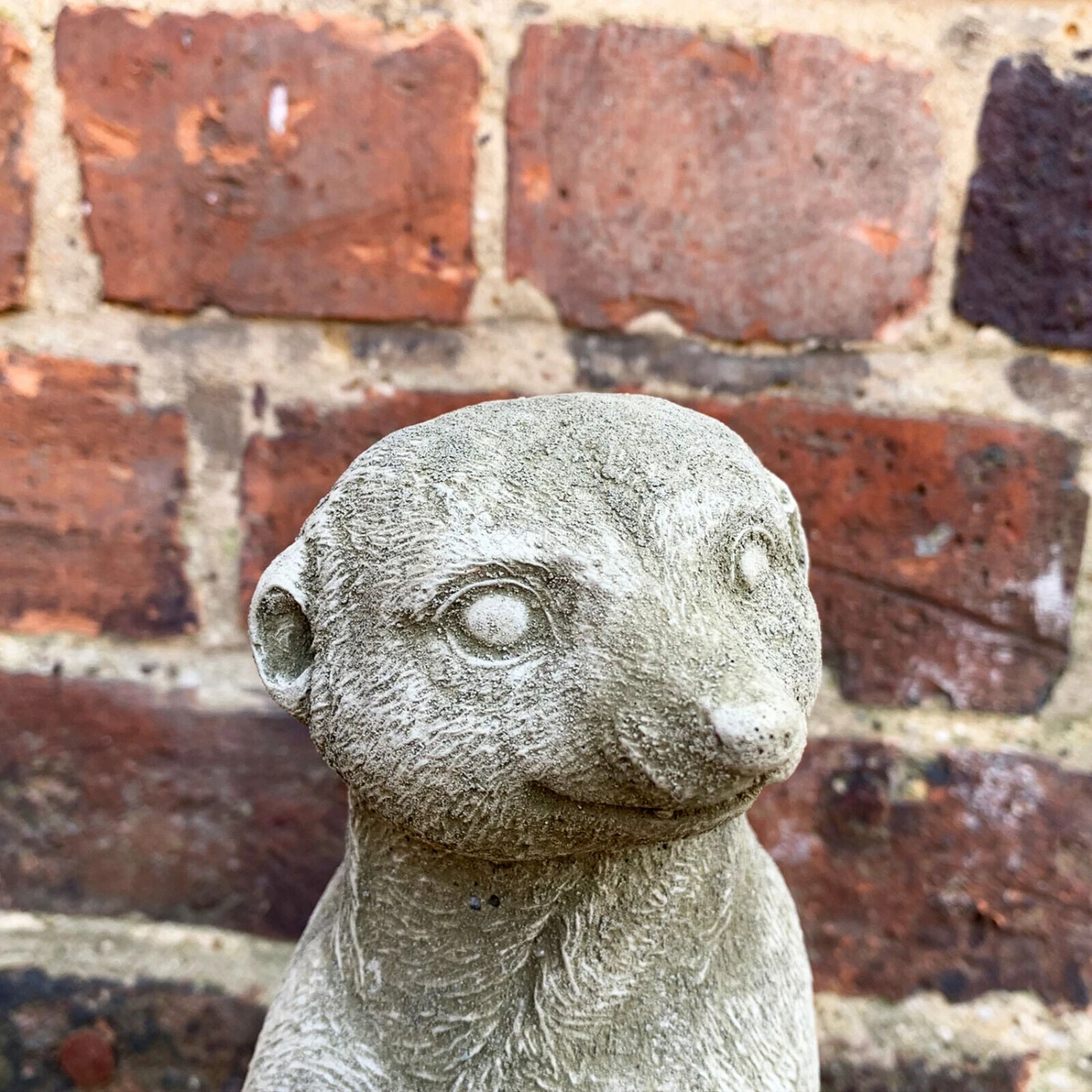 Darthome Limited Stone Meerkat Garden Sculpture 5kg 4 Darthome Limited Stone Meerkat Garden Sculpture 5kg - Image 4