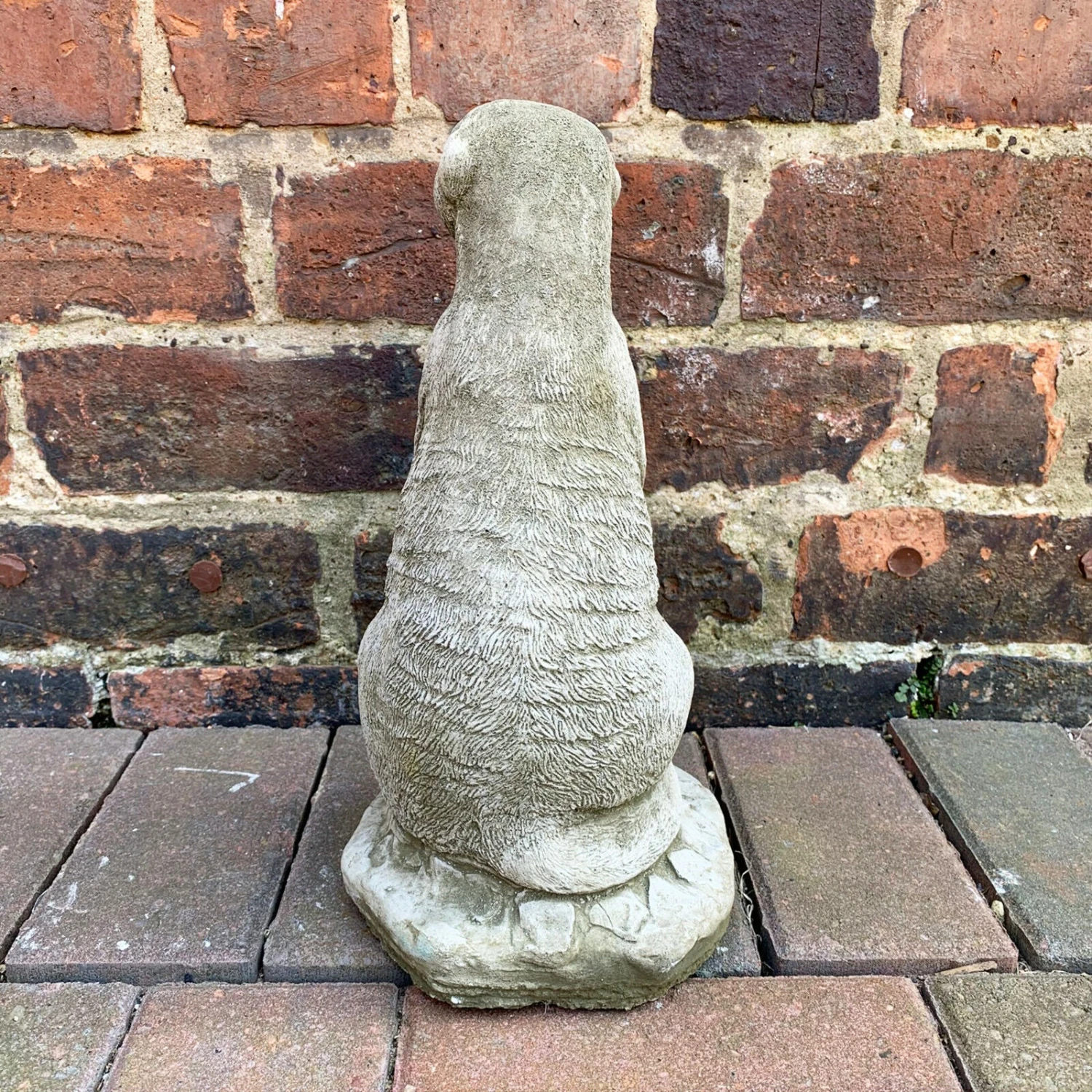 Darthome Limited Stone Meerkat Garden Sculpture 5kg 5 Darthome Limited Stone Meerkat Garden Sculpture 5kg - Image 5
