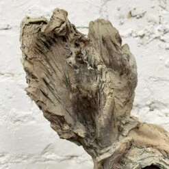 Darthome Limited Wood Effect Hare Sculpture 8 Darthome Limited Wood Effect Hare Sculpture -Decor Garden Shop 6 a0a74934 7157 49c2 a5db 99e9bdd2ad88