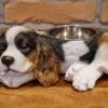 Darthome Limited Cocker Spaniel Dog Bowl