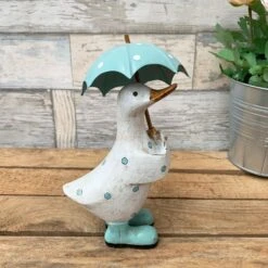 Darthome Limited Aqua Blue Polka Dot Duck With Umbrella -Decor Garden Shop 6 deb4a50e 9824 413b 9ffc c04fb3092eab