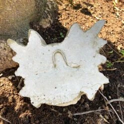 Darthome Limited Stone Bony Finger Gargoyle Wall Plaque -Decor Garden Shop 73 5e78771e 7753 45e7 9d00 fb18c222fac7 1