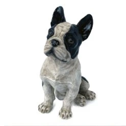 Darthome Limited Sitting French Bulldog Ornament -Decor Garden Shop 74 0bcf5fd3 7a4a 4668 8a56 6663678599aa