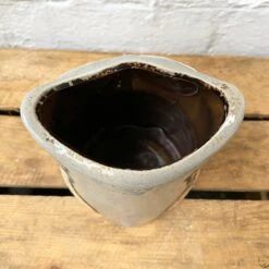 Darthome Limited Speckled Ceramic Owl Planter -Decor Garden Shop 89