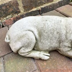 Darthome Limited Stone Sleeping Pig Garden Sculpture -Decor Garden Shop 8 c83c0381 037a 492b 89e3 b1967f8c65ec 1