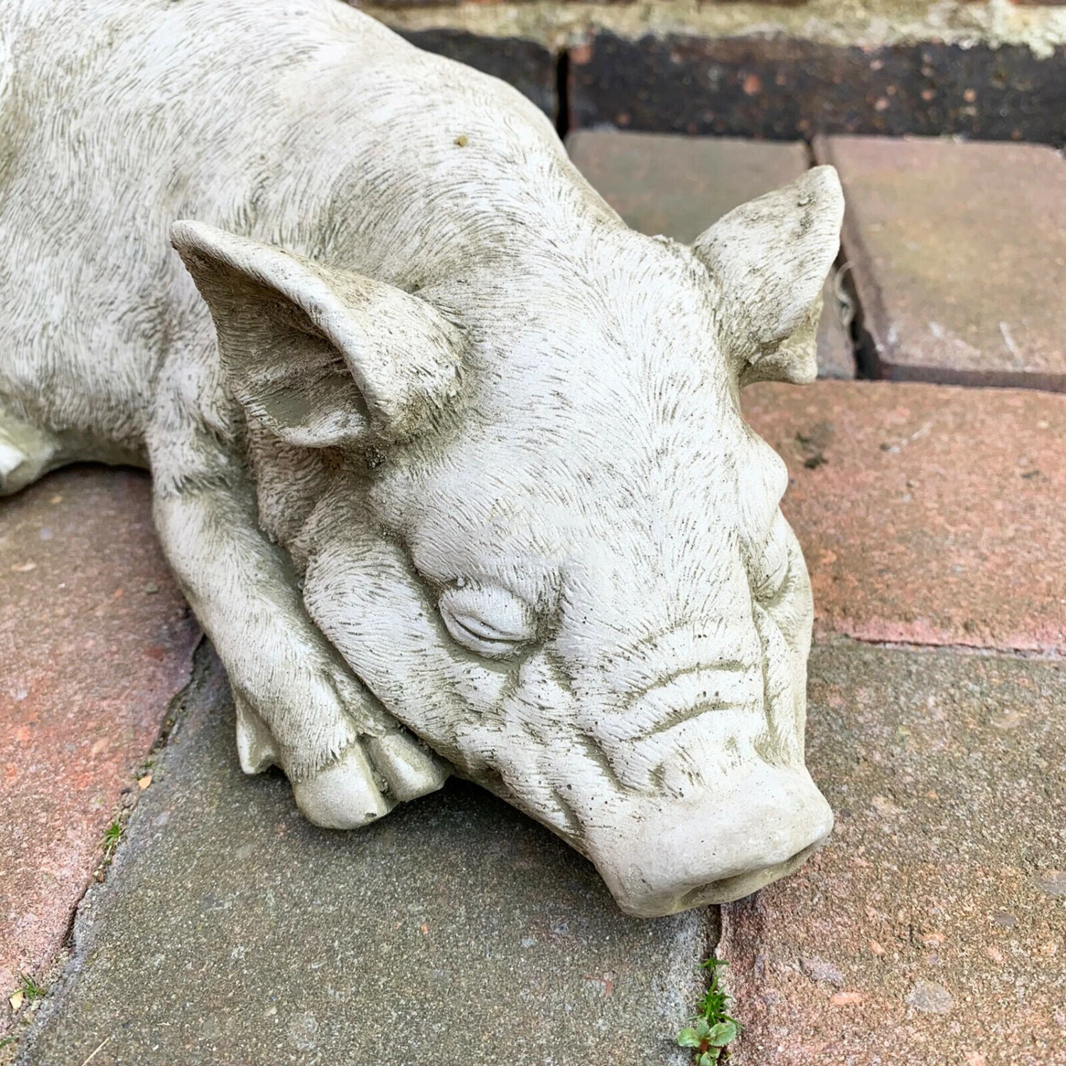Darthome Limited Stone Sleeping Pig Garden Sculpture 5 Darthome Limited Stone Sleeping Pig Garden Sculpture - Image 5