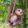 Darthome Limited Hanging Sloth Garden Ornament 60cm
