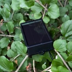 Darthome Limited 10 Chinese Lantern Outdoor Solar Lights -Decor Garden Shop IMG 0036 JPEG