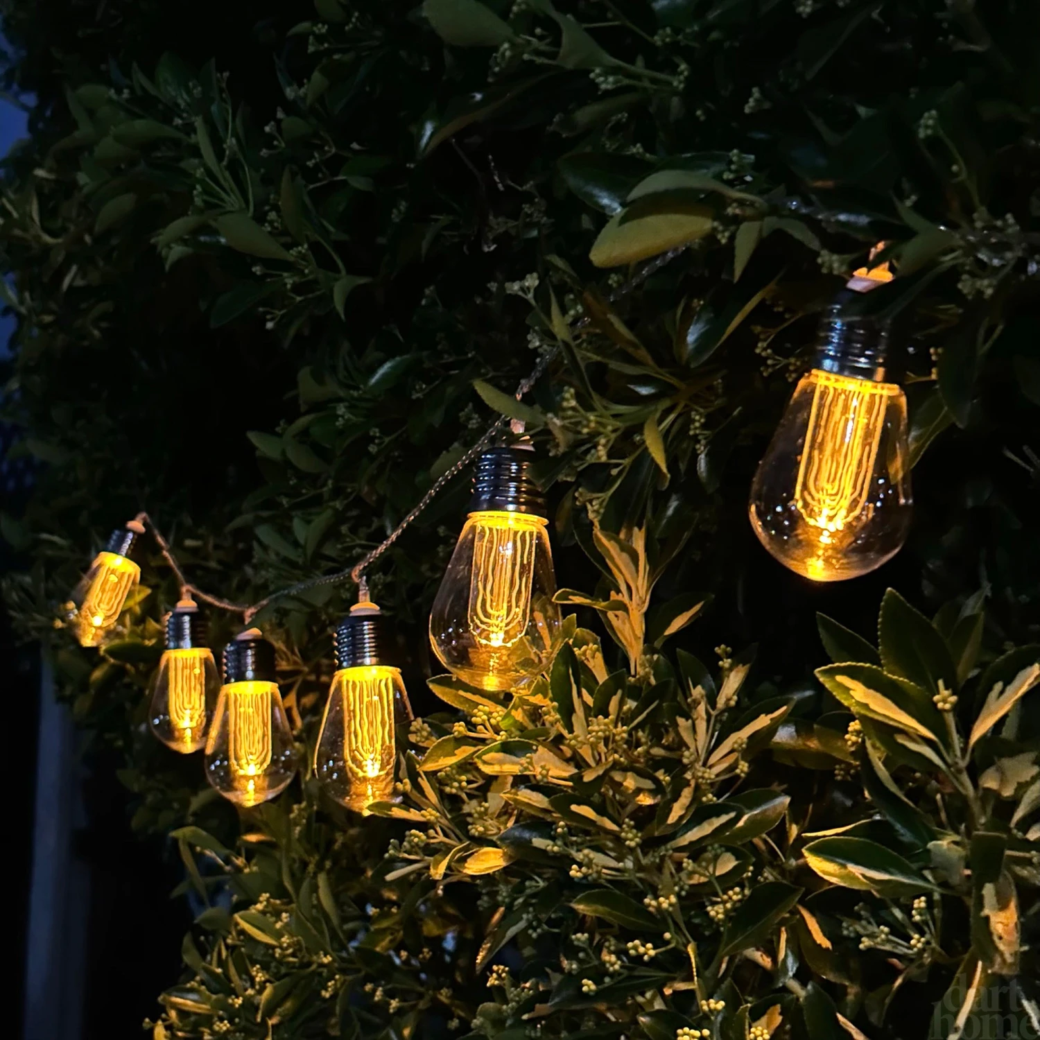 Darthome Limited 10 Edison Bulb Outdoor Lights 1 Darthome Limited 10 Edison Bulb Outdoor Lights