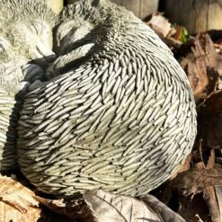 Darthome Limited Stone Cuddling Love Hedgehogs Sculpture -Decor Garden Shop IMG 4988 JPEG