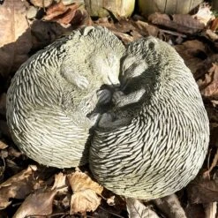 Darthome Limited Stone Cuddling Love Hedgehogs Sculpture