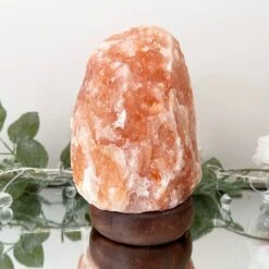 Darthome Limited Natural Healing Himalayan Salt Lamp 2kg Gift 9 Darthome Limited Natural Healing Himalayan Salt Lamp 2kg Gift -Decor Garden Shop IMG 5190.JPEG edited58