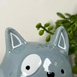 Darthome Limited Ceramic Blue Cat Money Box -Decor Garden Shop IMG 5623 JPEG