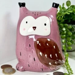 Darthome Limited Ceramic Owl Money Box