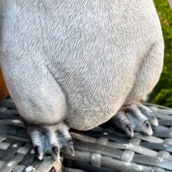 Darthome Limited Cute Squawking Penguin Sculpture -Decor Garden Shop IMG 5753 JPEG