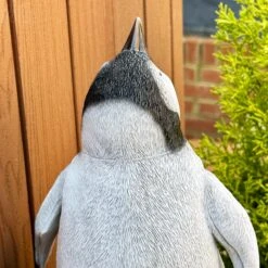 Darthome Limited Cute Squawking Penguin Sculpture -Decor Garden Shop IMG 5755 JPEG