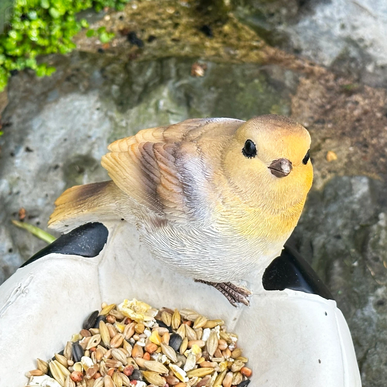 Darthome Limited Robin Football Bird Feeder 2 Darthome Limited Robin Football Bird Feeder - Image 2