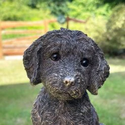 Darthome Limited Gold Cockapoo Dog Figure 9 Darthome Limited Gold Cockapoo Dog Figure -Decor Garden Shop IMG 6778.JPEG edited65