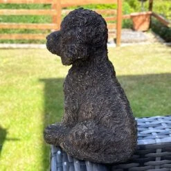 Darthome Limited Gold Cockapoo Dog Figure 12 Darthome Limited Gold Cockapoo Dog Figure -Decor Garden Shop IMG 6781.JPEG edited68