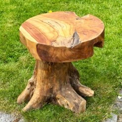 Darthome Limited Teak Root Mushroom Stool/Table