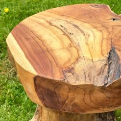 Darthome Limited Teak Root Mushroom Stool/Table 6 Darthome Limited Teak Root Mushroom Stool/Table -Decor Garden Shop IMG 8072 JPEG