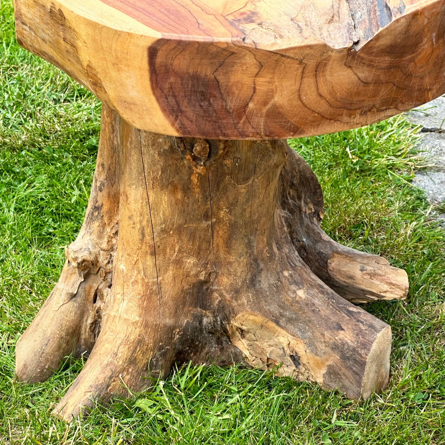 Darthome Limited Teak Root Mushroom Stool/Table 4 Darthome Limited Teak Root Mushroom Stool/Table - Image 4