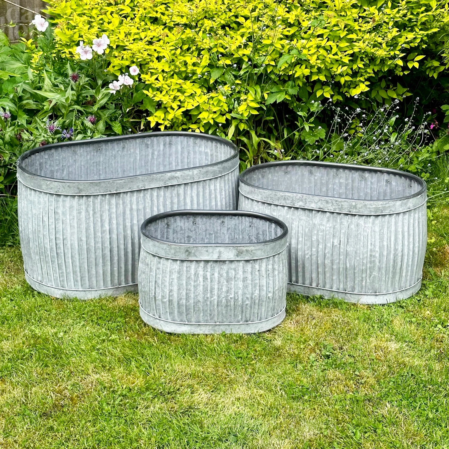 Darthome Limited Set Of 3 Galvanised Oval Tub Planters 1 Darthome Limited Set Of 3 Galvanised Oval Tub Planters