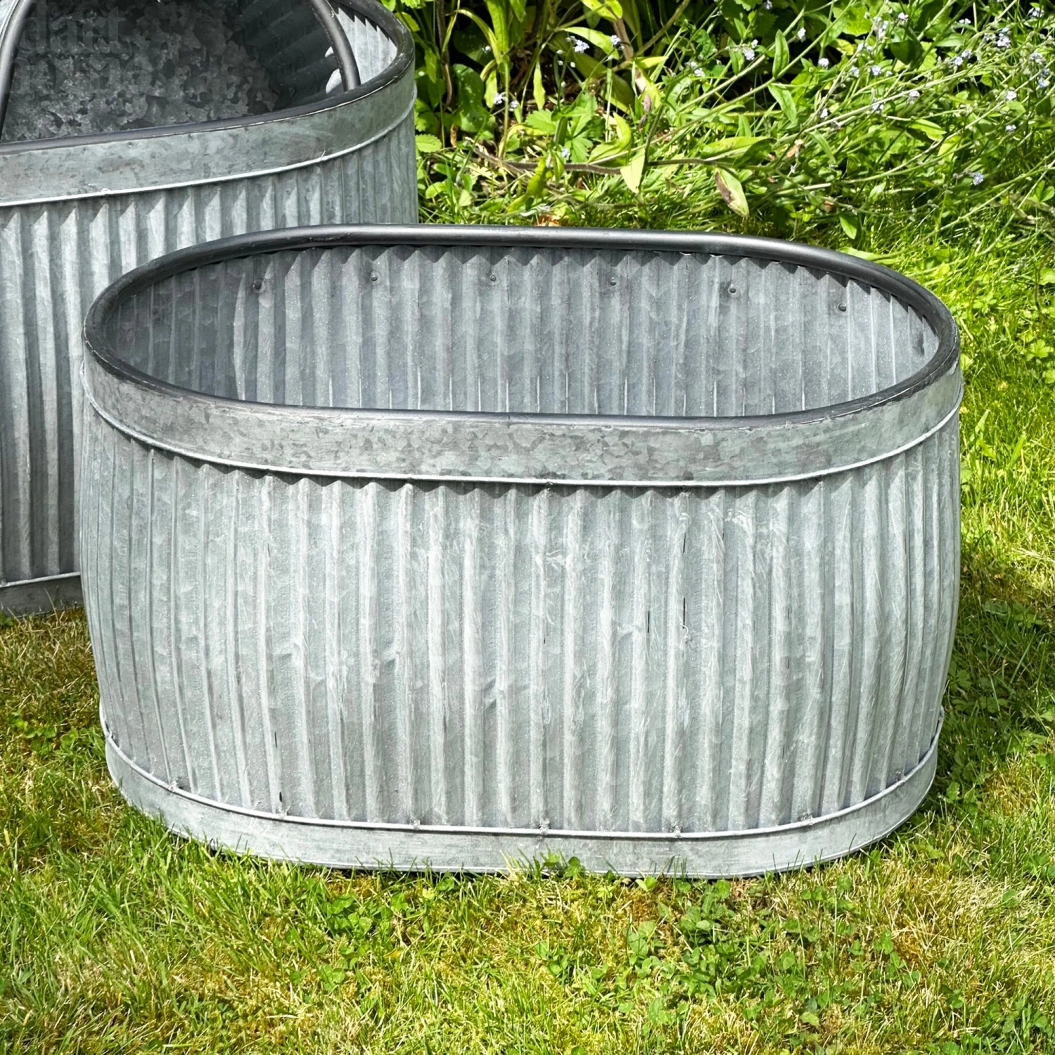 Darthome Limited Set Of 3 Galvanised Oval Tub Planters 2 Darthome Limited Set Of 3 Galvanised Oval Tub Planters - Image 2
