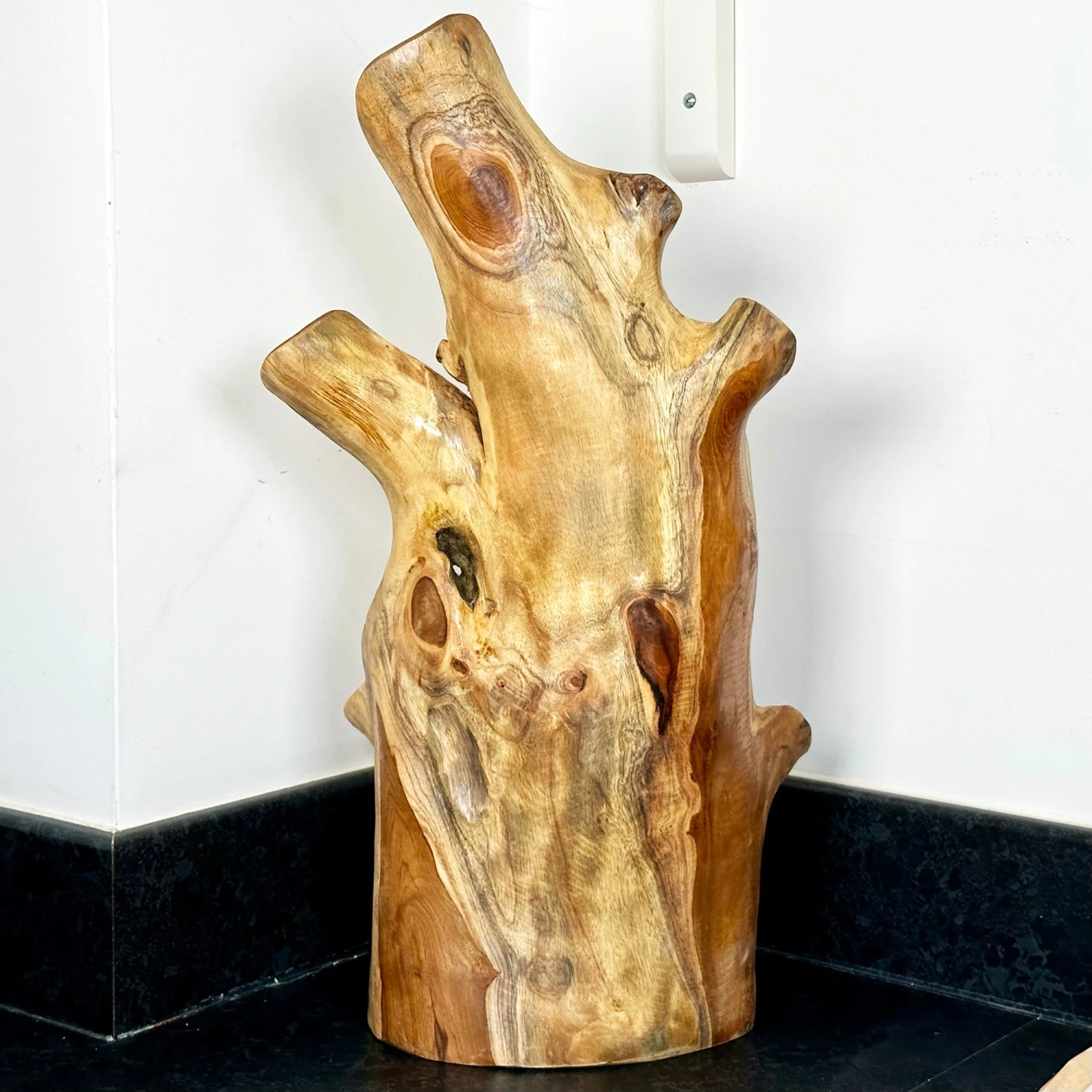 Darthome Limited Teak Root Tall Leaf Bowl 50cm 5 Darthome Limited Teak Root Tall Leaf Bowl 50cm - Image 5