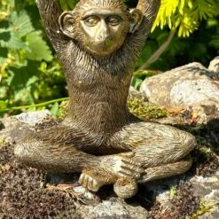 Darthome Limited Gold Yoga Monkey Figurine C 7 Darthome Limited Gold Yoga Monkey Figurine C -Decor Garden Shop IMG 8836 JPEG