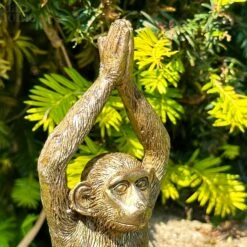 Darthome Limited Gold Yoga Monkey Figurine C 8 Darthome Limited Gold Yoga Monkey Figurine C -Decor Garden Shop IMG 8837 JPEG